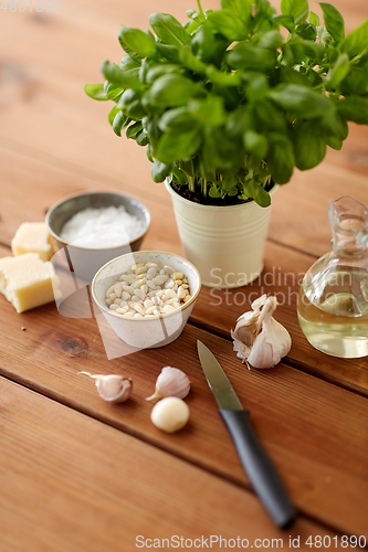 Image of ingredients for basil pesto sauce on wooden table