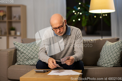 Image of senior man counting money at home