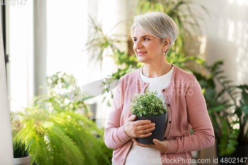 Image of happy senior woman with flower in pot at home