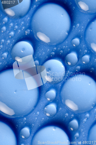 Image of Blue water drops