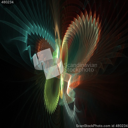 Image of Butterfly fractal