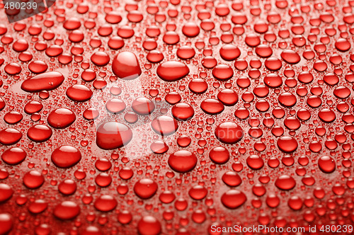 Image of water drops on red background