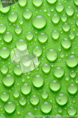 Image of water drops