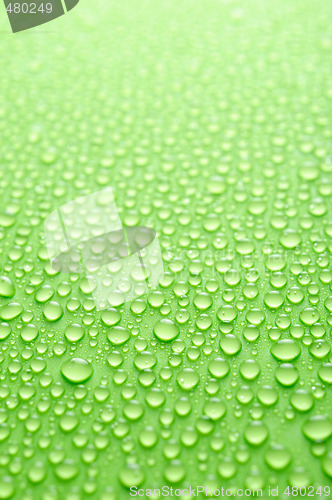 Image of water drops
