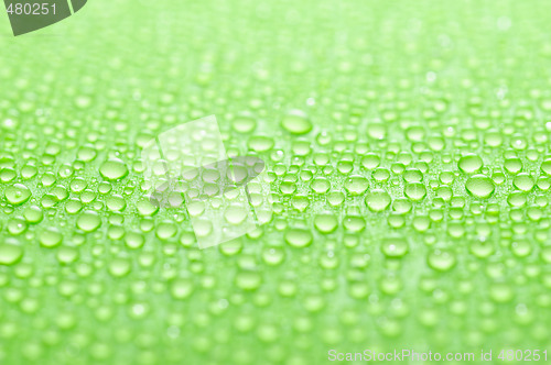 Image of water drops