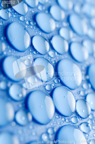 Image of water drops