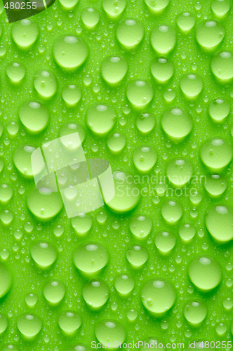 Image of water drops