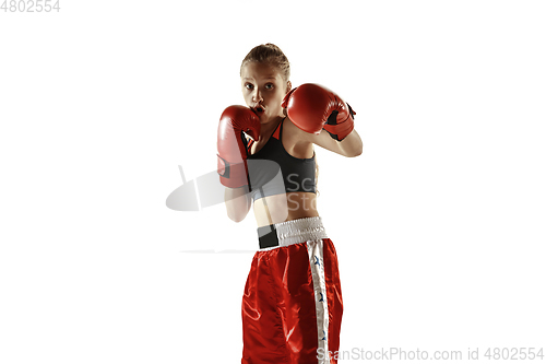 Image of Young female kickboxing fighter training isolated on white background