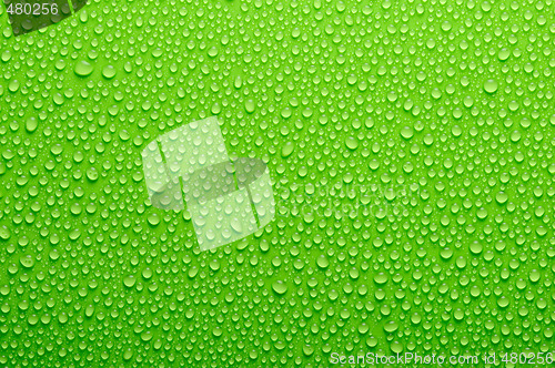 Image of water drops