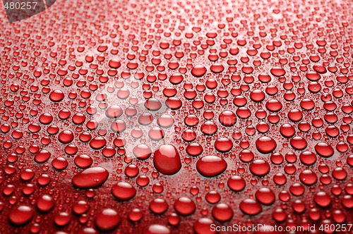 Image of water drops