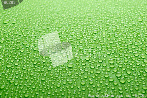 Image of water drops on green background
