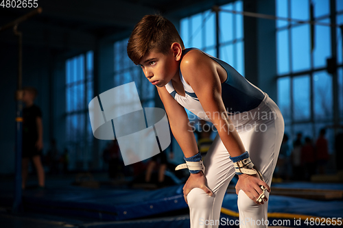 Image of Little male gymnast training in gym, flexible and active