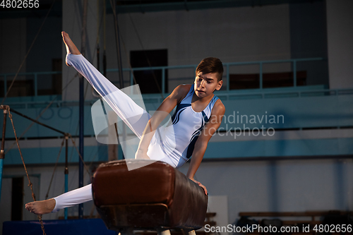 Image of Little male gymnast training in gym, flexible and active