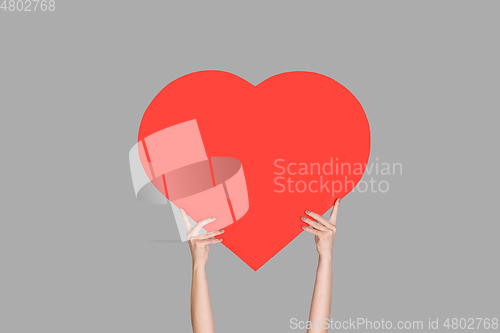 Image of Hands holding the sign of heart on grey studio background