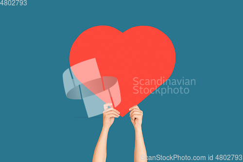 Image of Hands holding the sign of heart on blue studio background