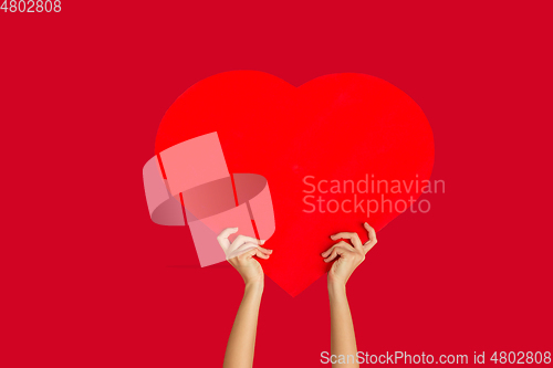 Image of Hands holding the sign of heart on red studio background