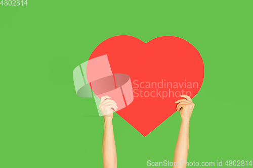 Image of Hands holding the sign of heart on green studio background