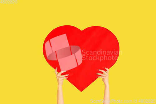 Image of Hands holding the sign of heart on yellow studio background