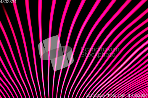 Image of Bright neon line designed background, shot with long exposure, pink