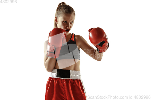 Image of Young female kickboxing fighter training isolated on white background