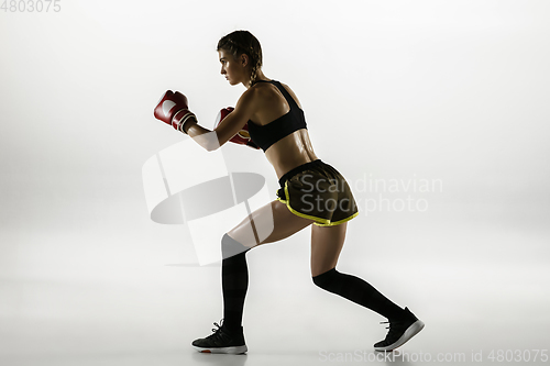 Image of Fit caucasian woman in sportswear boxing isolated on white studio background