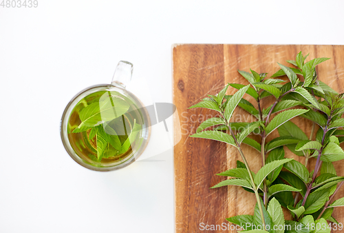 Image of herbal tea with fresh peppermint on wooden board