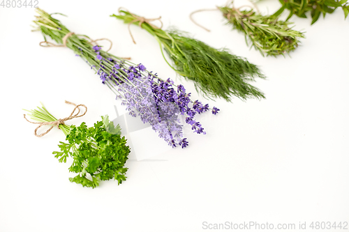 Image of greens, spices or medicinal herbs on white