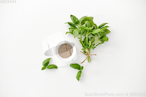 Image of fresh basil and dry seasoning on white background