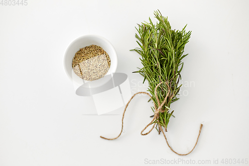 Image of fresh and dry rosemary on white background