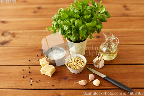 Image of ingredients for basil pesto sauce on wooden table