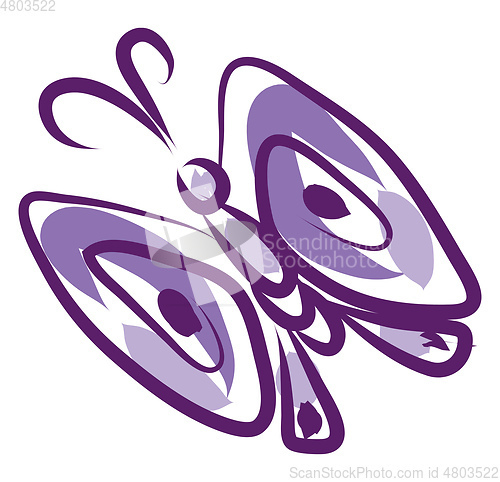 Image of A purple butterfly vector or color illustration