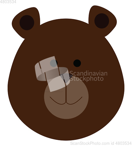 Image of Brown grizzly bear vector or color illustration