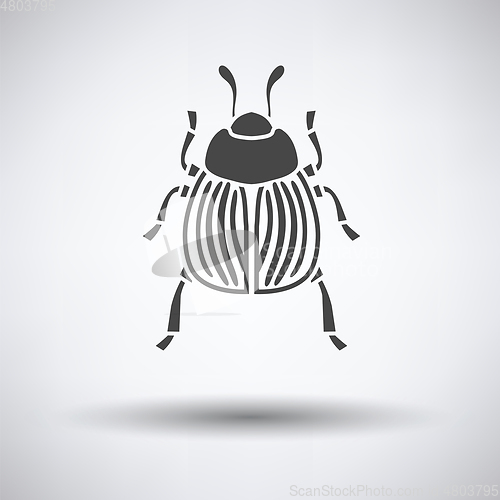 Image of Colorado beetle icon