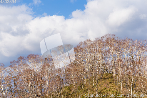 Image of Natural landscape in autumn