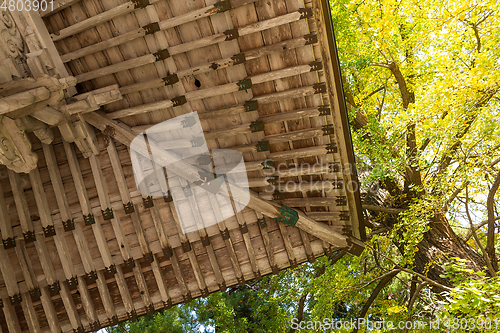 Image of Traditional japanese temple and tree