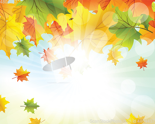 Image of Autumn  Frame
