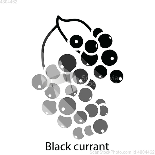 Image of Black currant icon