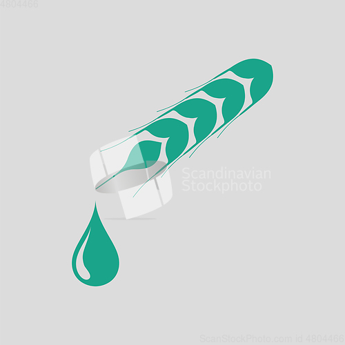 Image of Wheat with drop icon