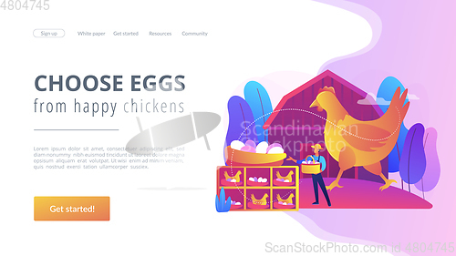 Image of Free run chicken and eggs concept landing page.