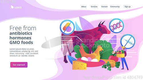 Image of Free from antibiotics hormones GMO foods concept landing page.