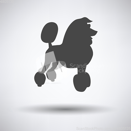 Image of Poodle icon