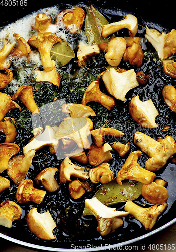 Image of Chanterelles Fried in Pan