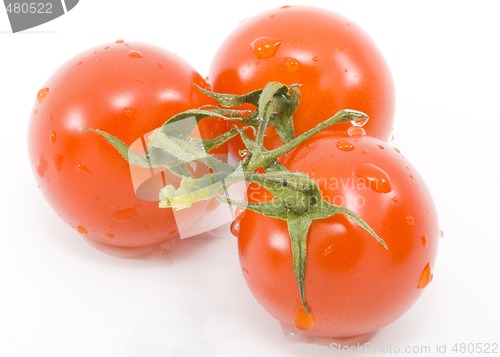 Image of Tomatoes