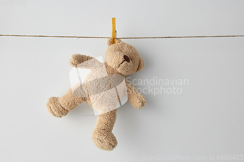 Image of soft teddy bear toy hanging on clothesline