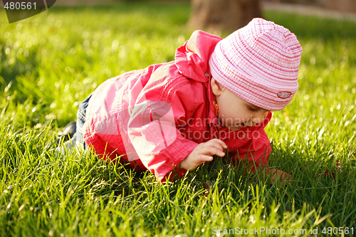 Image of Baby in garden