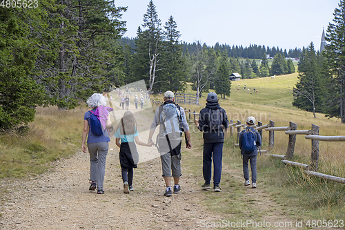 Image of Family with small children hiking outdoors in summer nature, wal
