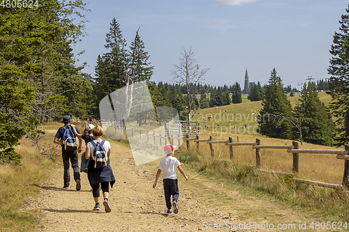 Image of Family with small children hiking outdoors in summer nature, wal