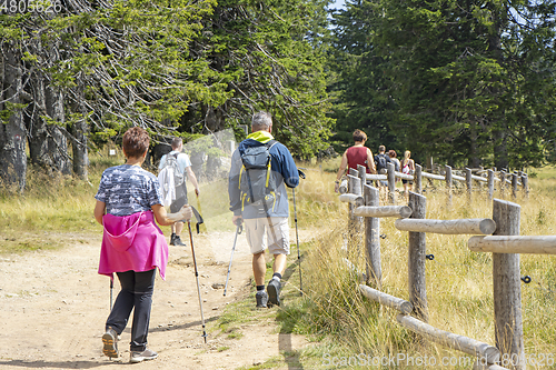 Image of Group of people walking by hiking trail, in Rogla, Slovenia