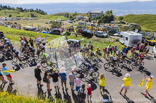 Image of The Peloton on Col du Grand Colombier - Tour de France 2016