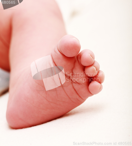 Image of Newborn